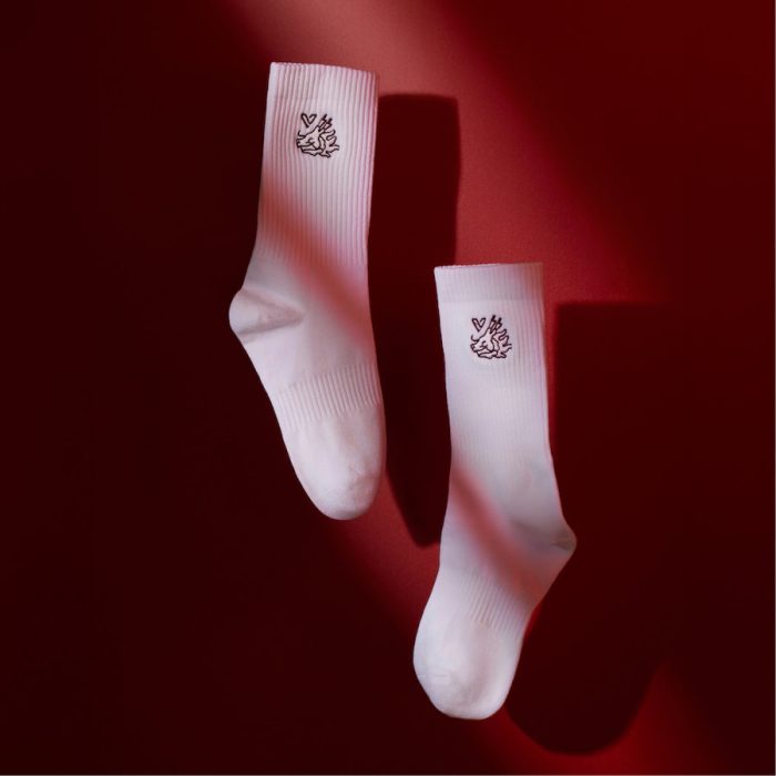 LunarNewYear2024-Socks-Lifestyle.jpg
